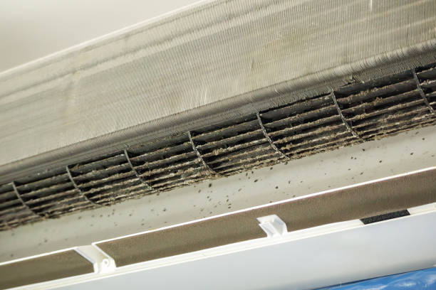 Best Duct Cleaning for Offices  in Exeter, PA